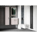 Hudson Reed Apollo Vanity Unit - Wall Hung 1 & 2 Door Units with Basin (Various) - Unbeatable Bathrooms